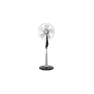 Walton Pedestal Fan (WPF16L5-PBC)