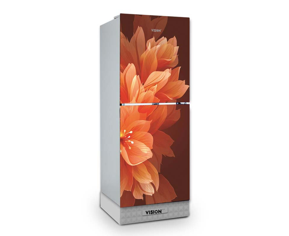 VISION GD Refrigerator RE-200L Lily Orange TM