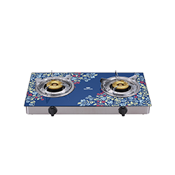 Walton Gas Stove (WGS-GDC90)