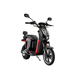 Walton E-Bike TAKYON 1.20