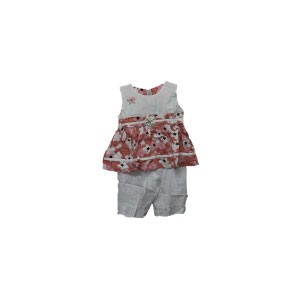 Baby Girl Dress and pants