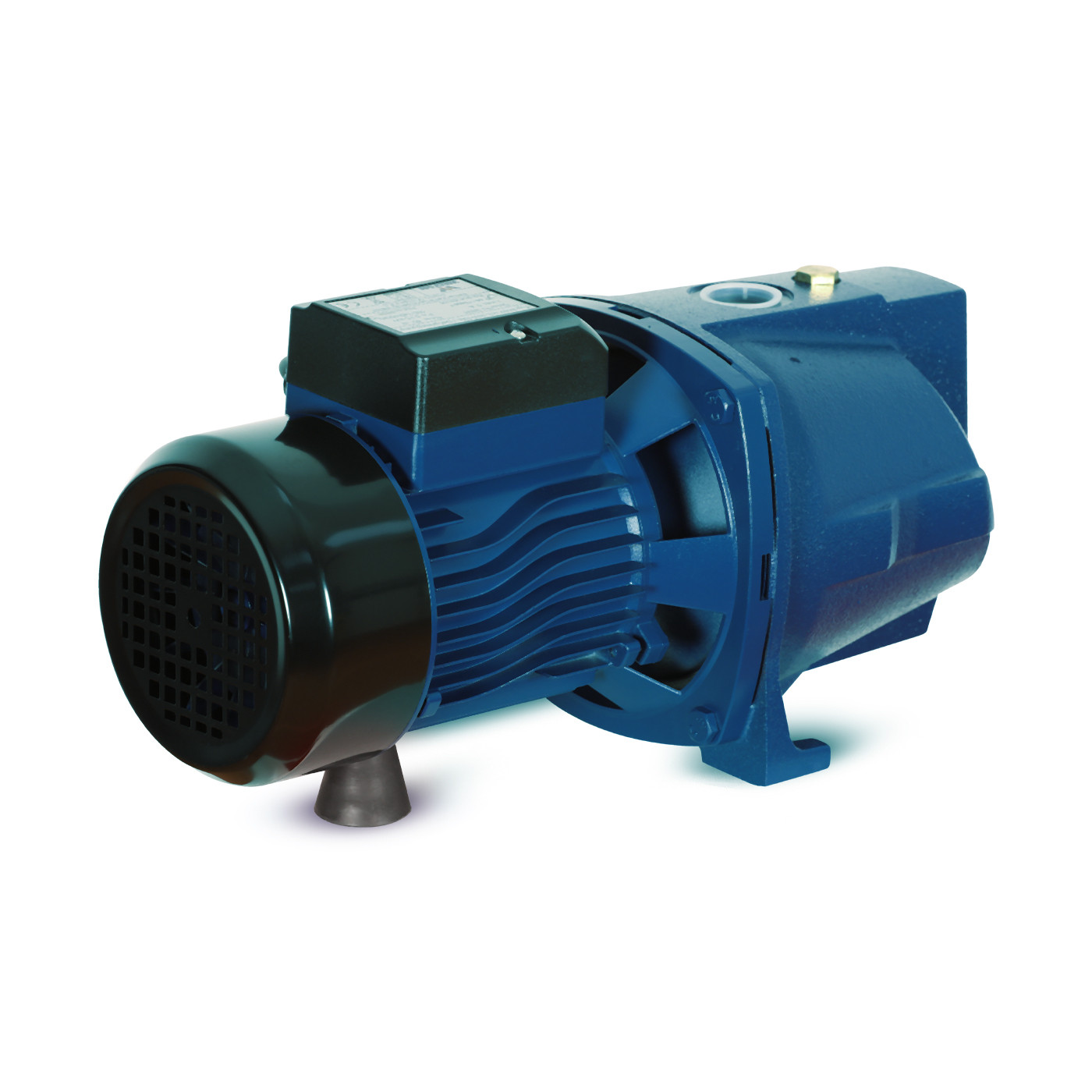 Walton Water Pump -1.0HP  (WWP-HY-JSW10M-J)